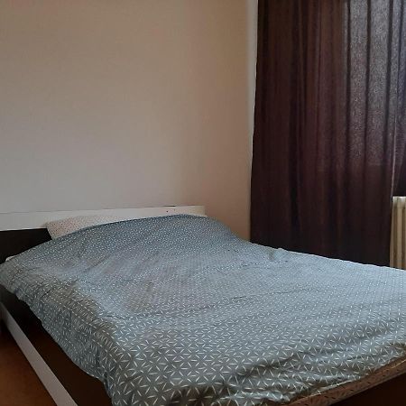 Ultracentral Apartment Bulevard Regele Mihai Nr 10, Sc A Ap 16 Timisoara Exterior foto